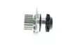 Wasserpumpe, Motorkühlung AISIN WE-VW31 Bild Wasserpumpe, Motorkühlung AISIN WE-VW31