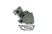 Wasserpumpe, Motorkühlung AISIN WPM-002V
