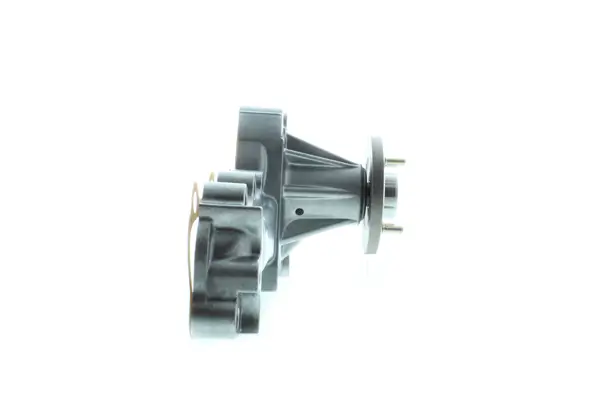 Wasserpumpe, Motorkühlung AISIN WPT-116
