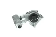 Wasserpumpe, Motorkühlung AISIN WPO-006