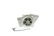 Wasserpumpe, Motorkühlung AISIN WPPG-002V