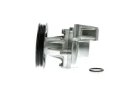 Wasserpumpe, Motorkühlung AISIN WPT-011