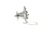 Wasserpumpe, Motorkühlung AISIN WPT-013