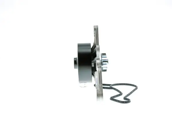 Wasserpumpe, Motorkühlung AISIN WPT-198
