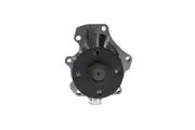 Wasserpumpe, Motorkühlung AISIN WPTS-008