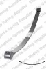 Federnpaket Hinterachse LESJÖFORS 5827549