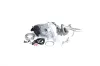 Lader, Aufladung BTS Turbo T981662