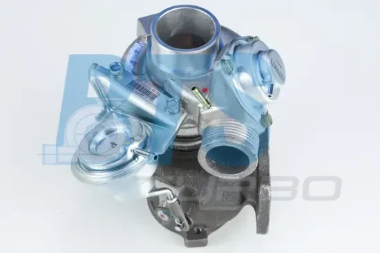 Lader, Aufladung BTS Turbo T912301 Bild Lader, Aufladung BTS Turbo T912301