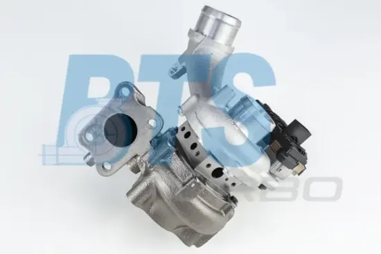 Lader, Aufladung BTS Turbo T916191 Bild Lader, Aufladung BTS Turbo T916191