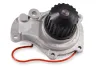 Wasserpumpe, Motorkühlung HEPU P1719 Bild Wasserpumpe, Motorkühlung HEPU P1719