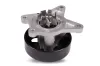 Wasserpumpe, Motorkühlung HEPU P7396 Bild Wasserpumpe, Motorkühlung HEPU P7396
