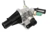 Thermostat, Kühlmittel HEPU TM1099