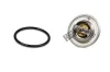 Thermostat, Kühlmittel HEPU TM1243