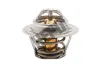 Thermostat, Kühlmittel HEPU TM1278
