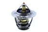 Thermostat, Kühlmittel HEPU TM1284