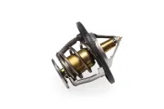 Thermostat, Kühlmittel HEPU TM1318