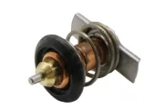 Thermostat, Kühlmittel HEPU TM1350