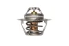 Thermostat, Kühlmittel HEPU TM1379