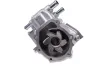 Wasserpumpe, Motorkühlung GK 981509 Bild Wasserpumpe, Motorkühlung GK 981509