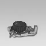 Wasserpumpe, Motorkühlung GK 981748