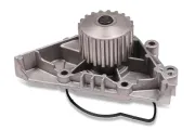 Wasserpumpe, Motorkühlung GK 986857