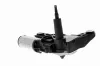 Wischermotor 12 V hinten VEMO V10-07-0027 Bild Wischermotor 12 V hinten VEMO V10-07-0027