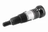 Luftfederbein Vorderachse VEMO V10-50-0024 Bild Luftfederbein Vorderachse VEMO V10-50-0024