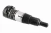 Luftfederbein Vorderachse VEMO V10-50-0024 Bild Luftfederbein Vorderachse VEMO V10-50-0024