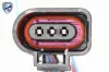 Sensor, Einparkhilfe hinten VEMO V10-72-10814 Bild Sensor, Einparkhilfe hinten VEMO V10-72-10814