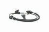 Sensor, Raddrehzahl Vorderachse links Vorderachse rechts VEMO V10-72-1083 Bild Sensor, Raddrehzahl Vorderachse links Vorderachse rechts VEMO V10-72-1083