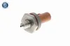 Sensor, Kraftstoffdruck vom Kraftstoffverteiler zur Förderleitung VEMO V10-72-1136-1 Bild Sensor, Kraftstoffdruck vom Kraftstoffverteiler zur Förderleitung VEMO V10-72-1136-1