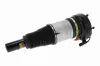 Luftfederbein Vorderachse beidseitig VEMO V15-50-0012