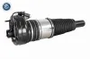 Luftfederbein Vorderachse beidseitig VEMO V15-50-0015 Bild Luftfederbein Vorderachse beidseitig VEMO V15-50-0015