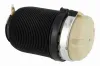 Luftfeder, Fahrwerk Hinterachse beidseitig VEMO V15-50-0021-1 Bild Luftfeder, Fahrwerk Hinterachse beidseitig VEMO V15-50-0021-1