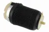 Luftfeder, Fahrwerk Hinterachse beidseitig VEMO V15-50-0021-1 Bild Luftfeder, Fahrwerk Hinterachse beidseitig VEMO V15-50-0021-1