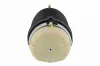 Luftfeder, Fahrwerk Hinterachse beidseitig VEMO V15-50-0021-1 Bild Luftfeder, Fahrwerk Hinterachse beidseitig VEMO V15-50-0021-1