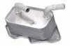 Ölkühler, Motoröl VEMO V15-60-6019 Bild Ölkühler, Motoröl VEMO V15-60-6019
