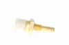 Sensor, Kühlmitteltemperatur VEMO V15-77-0001 Bild Sensor, Kühlmitteltemperatur VEMO V15-77-0001