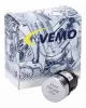 Zünd-/Startschalter VEMO V15-80-3365 Bild Zünd-/Startschalter VEMO V15-80-3365