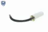 Kraftstoffpumpe 12 V im Kraftstofftank VEMO V20-09-0462 Bild Kraftstoffpumpe 12 V im Kraftstofftank VEMO V20-09-0462