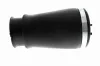 Luftfederbein Hinterachse rechts VEMO V20-50-0019-1 Bild Luftfederbein Hinterachse rechts VEMO V20-50-0019-1