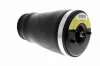Luftfederbein Hinterachse rechts VEMO V20-50-0019-1 Bild Luftfederbein Hinterachse rechts VEMO V20-50-0019-1