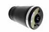 Luftfederbein Hinterachse links VEMO V20-50-0020-1 Bild Luftfederbein Hinterachse links VEMO V20-50-0020-1