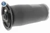 Luftfederbein Hinterachse beidseitig VEMO V20-50-0023