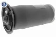 Luftfederbein Hinterachse beidseitig VEMO V20-50-0023