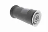 Luftfederbein Hinterachse beidseitig VEMO V20-50-0023 Bild Luftfederbein Hinterachse beidseitig VEMO V20-50-0023