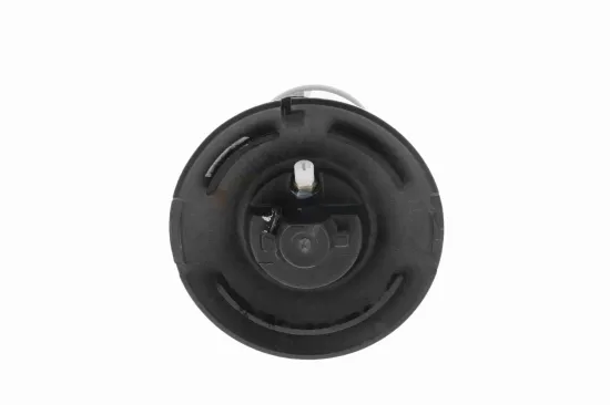 Luftfederbein Hinterachse beidseitig VEMO V20-50-0023 Bild Luftfederbein Hinterachse beidseitig VEMO V20-50-0023