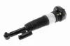 Luftfederbein hinten links VEMO V20-50-0042 Bild Luftfederbein hinten links VEMO V20-50-0042