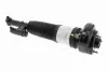 Luftfederbein hinten links VEMO V20-50-0042 Bild Luftfederbein hinten links VEMO V20-50-0042