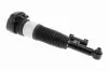 Luftfederbein hinten links VEMO V20-50-0042 Bild Luftfederbein hinten links VEMO V20-50-0042